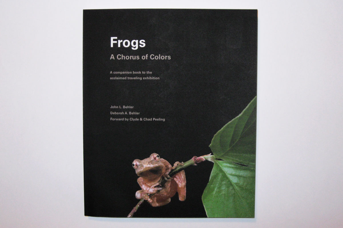 Frogs Cover