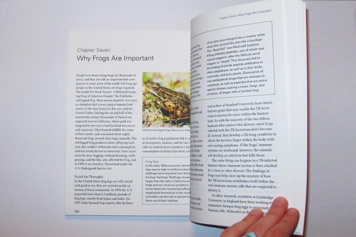 Frogs Pages